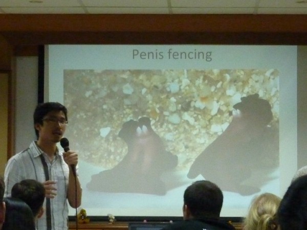 penis fencing