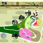 Evolution Garden_map