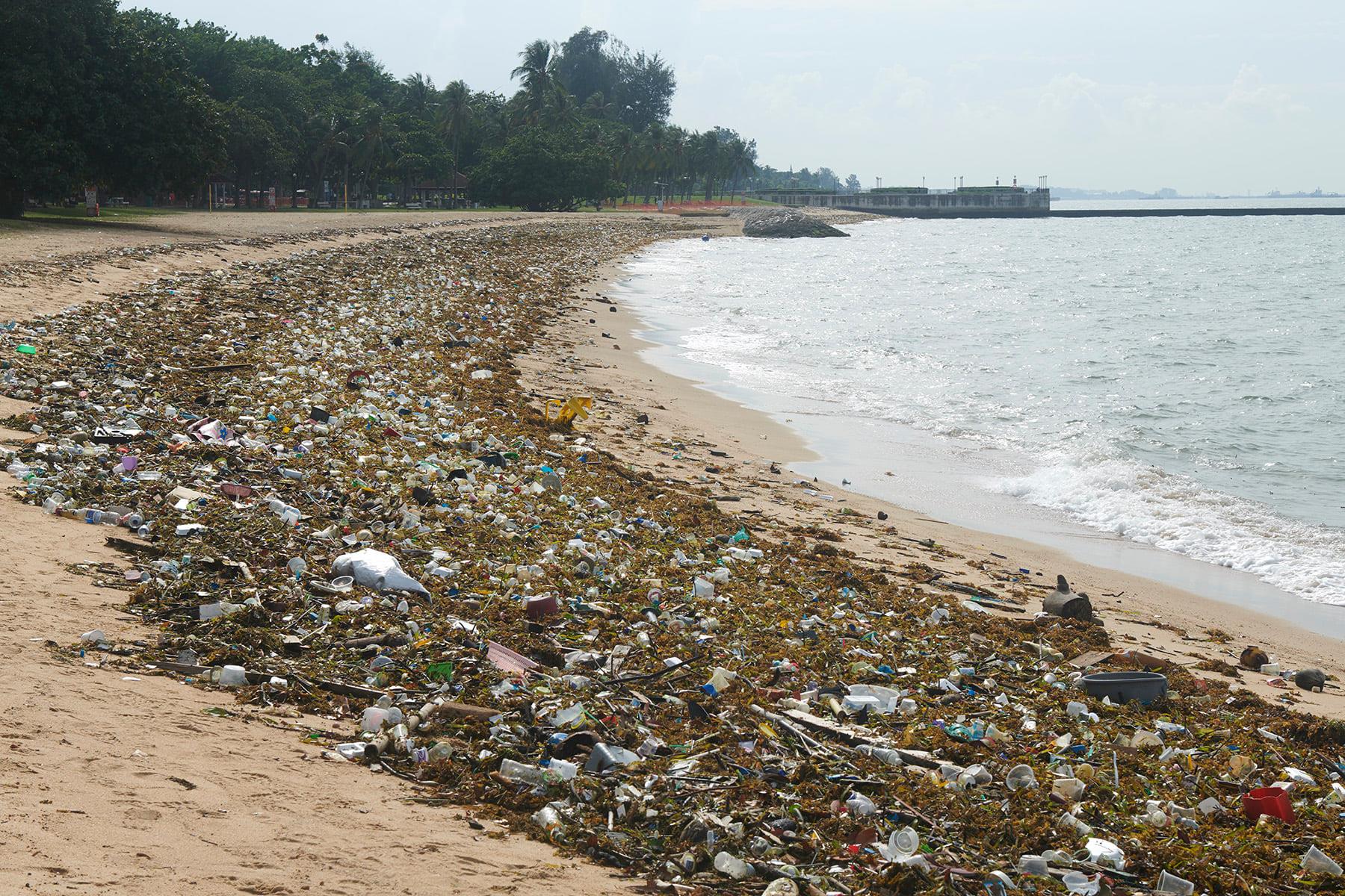 National Day Community Service – Beach Cleanup at East Coast